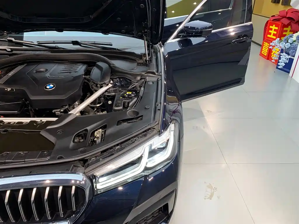 BMW 5 Series 2021 Facelift 525Li M Sport Package фото 20