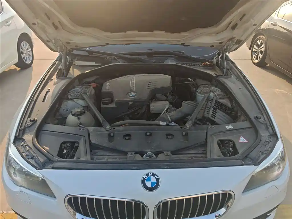 BMW 5 Series 2014 520Li Elegance фото 20
