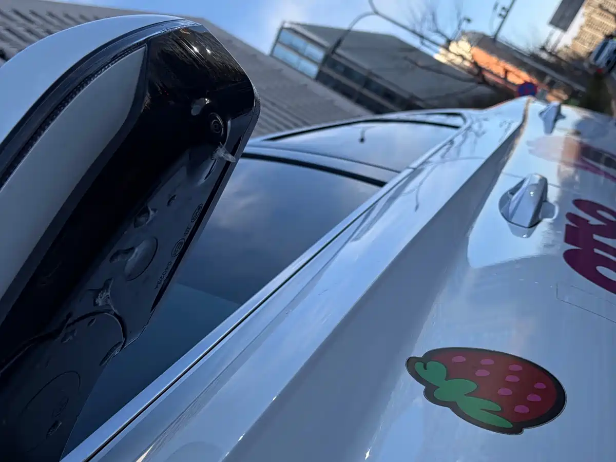 BYD SONGJIANG NEW ENERGY