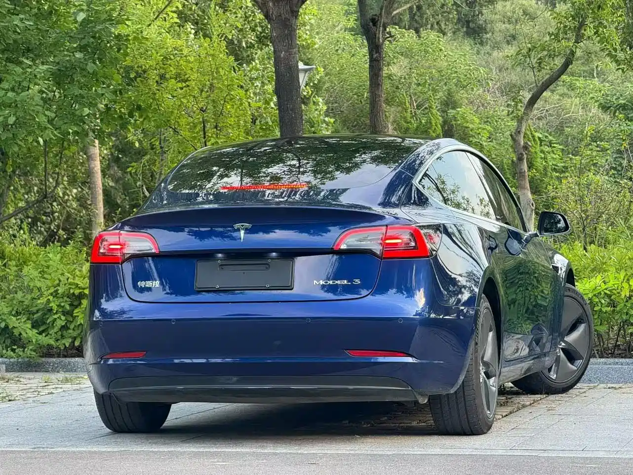 Tesla Model 3 2020 2019 Standard Range Rear-Wheel Drive Upgrade