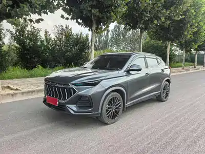 Changan Oshan X5