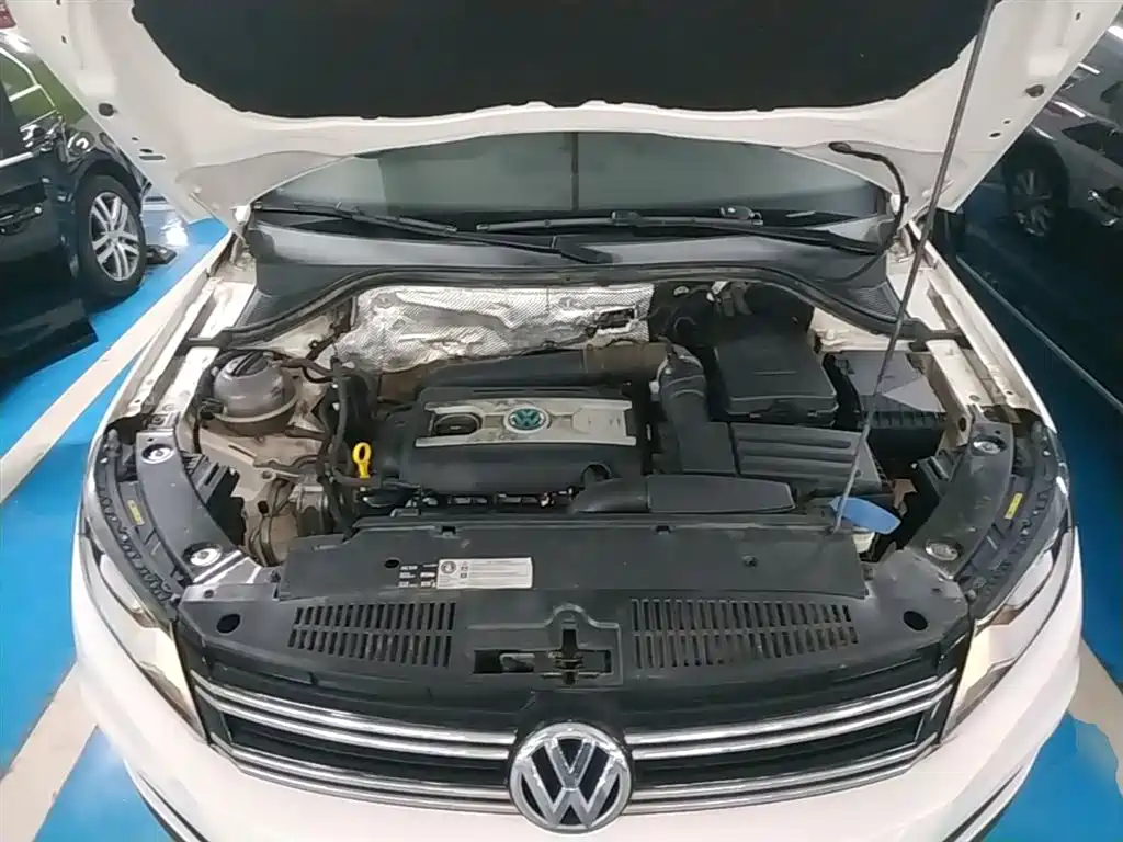 Volkswagen Tiguan 2017 300TSI Automatic 2WD Silk Road Fashion Edition фото 20