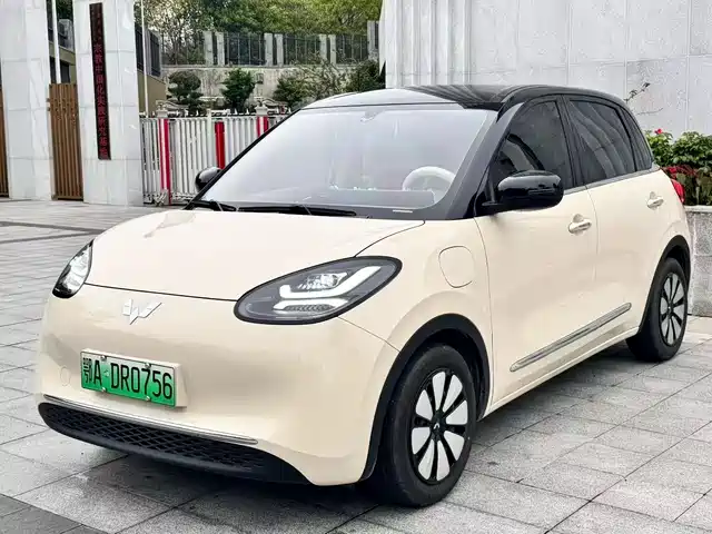 WULING WULING BINGGUO
