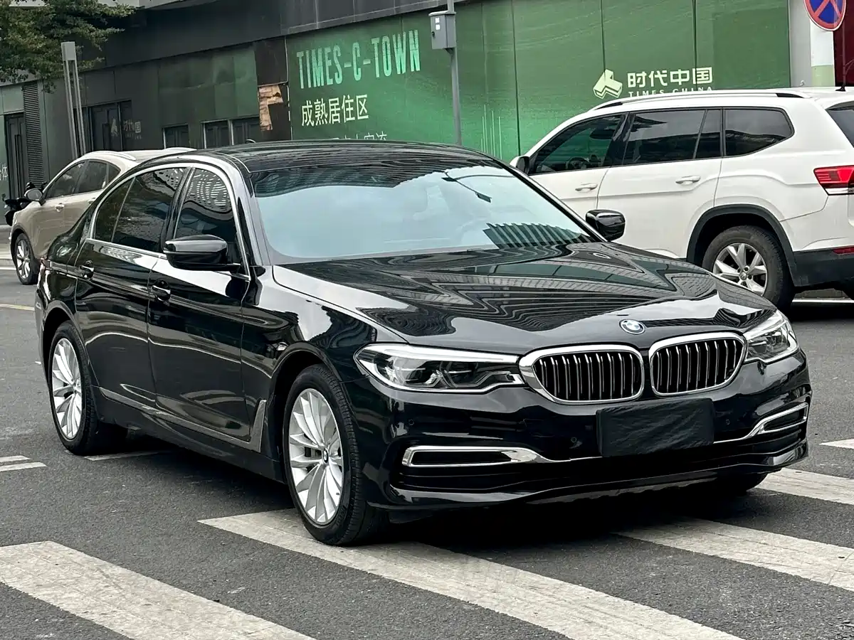 BMW 5 Series 2020 530Li Leading Luxury Package фото 3