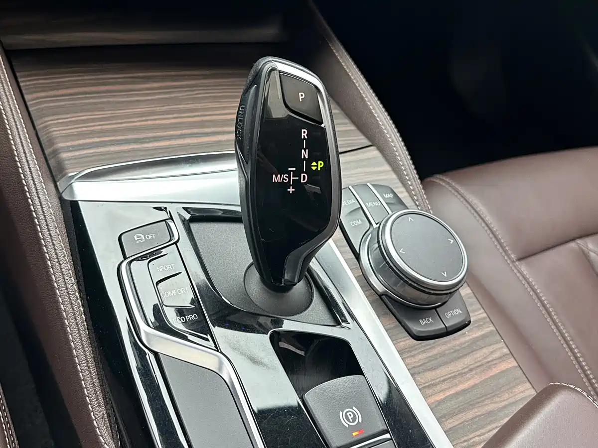 BMW 5 Series 2020 530Li Leading Luxury Package фото 13