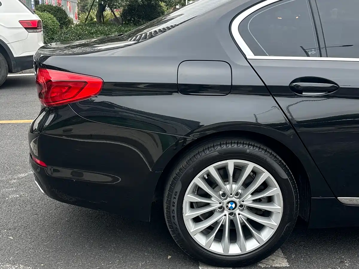 BMW 5 Series 2020 530Li Leading Luxury Package фото 18