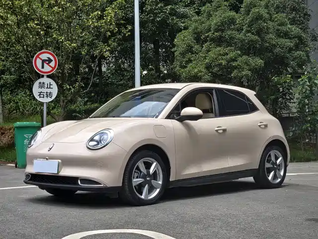 Ora Good Cat 2023 401km Standard Range Premium LFP — фото 1