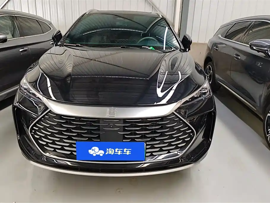 BYD Tang New Energy 2024 DM-i Honor Edition 112KM Premium фото 2