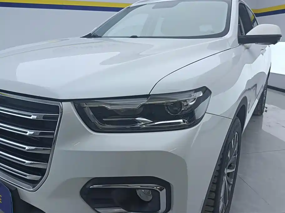 Haval H6 2020 1.5GDIT Automatic Platinum Champion Edition фото 5