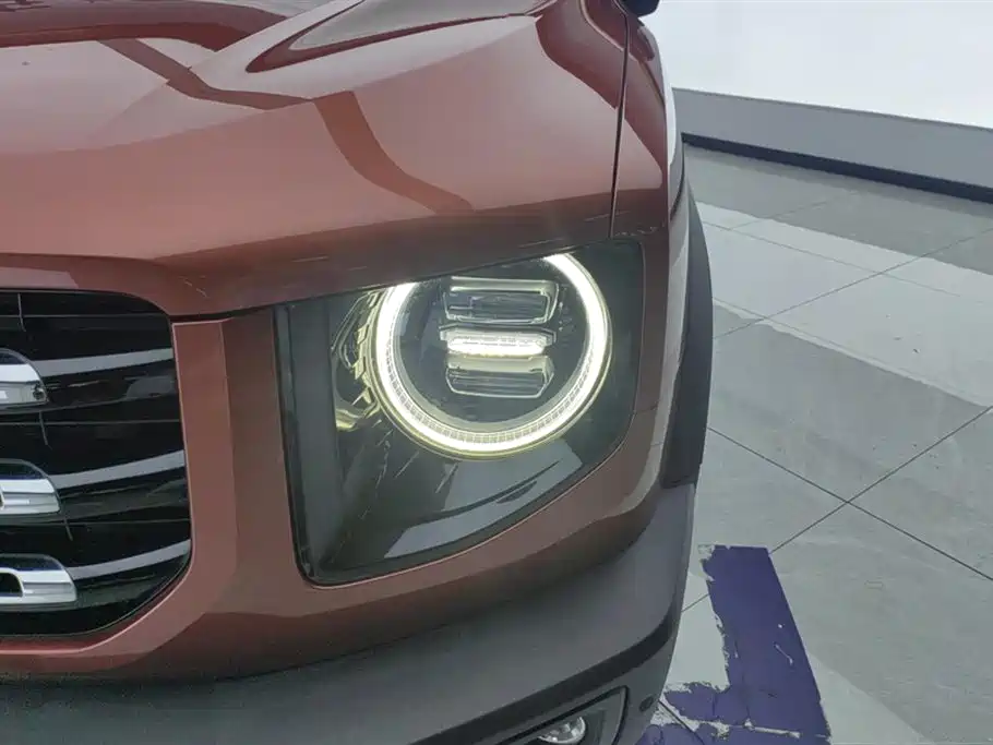 Haval Big Dog 2021 1.5T DCT 2WD Malinois Edition фото 5