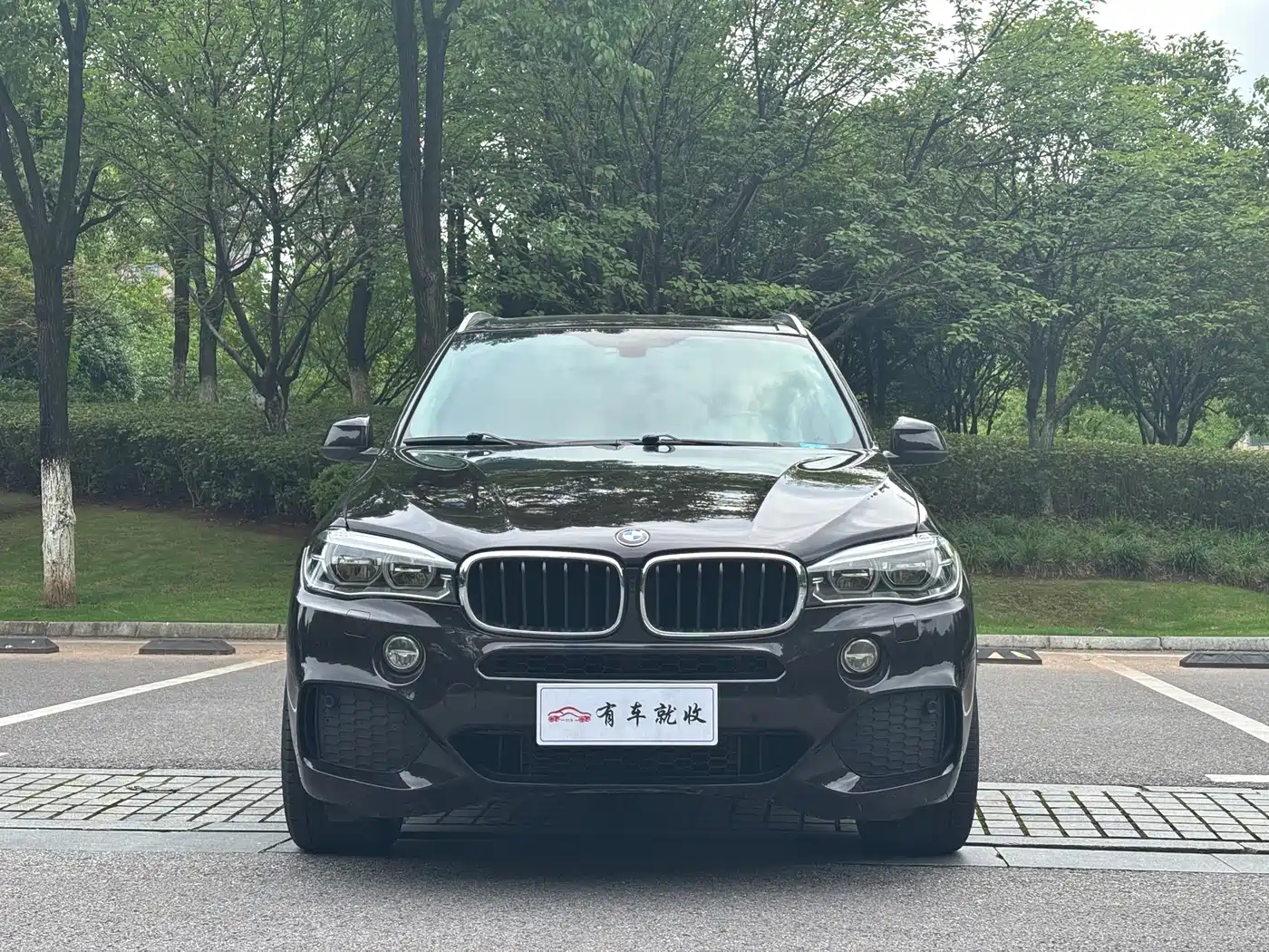 BMW X5 (Import) 2017 xDrive35i Elegance фото 2