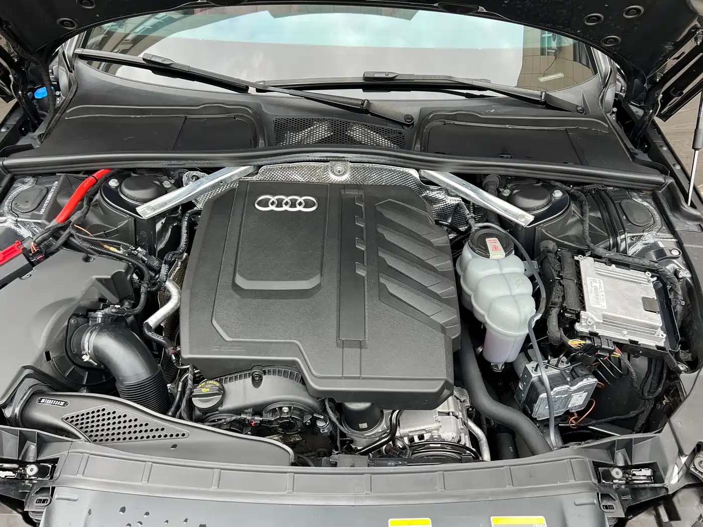 Audi A4L 2024 40 TFSI Luxury Dynamic фото 12