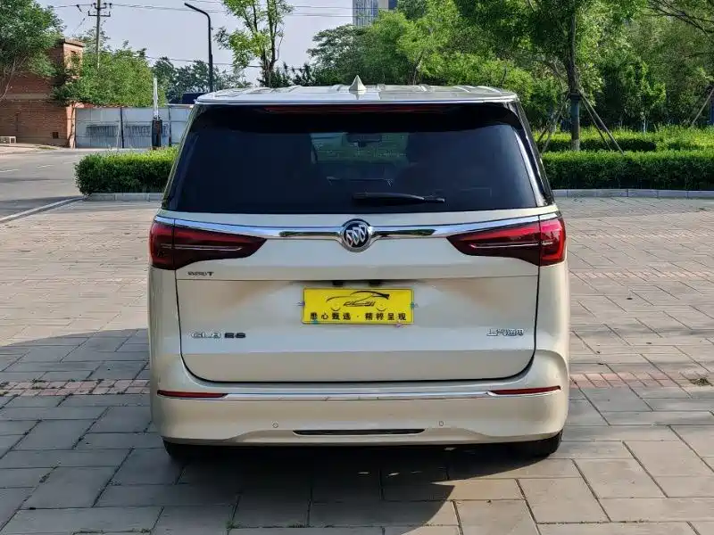 Buick GL8 2022 ES Landmark 653T Luxury фото 5