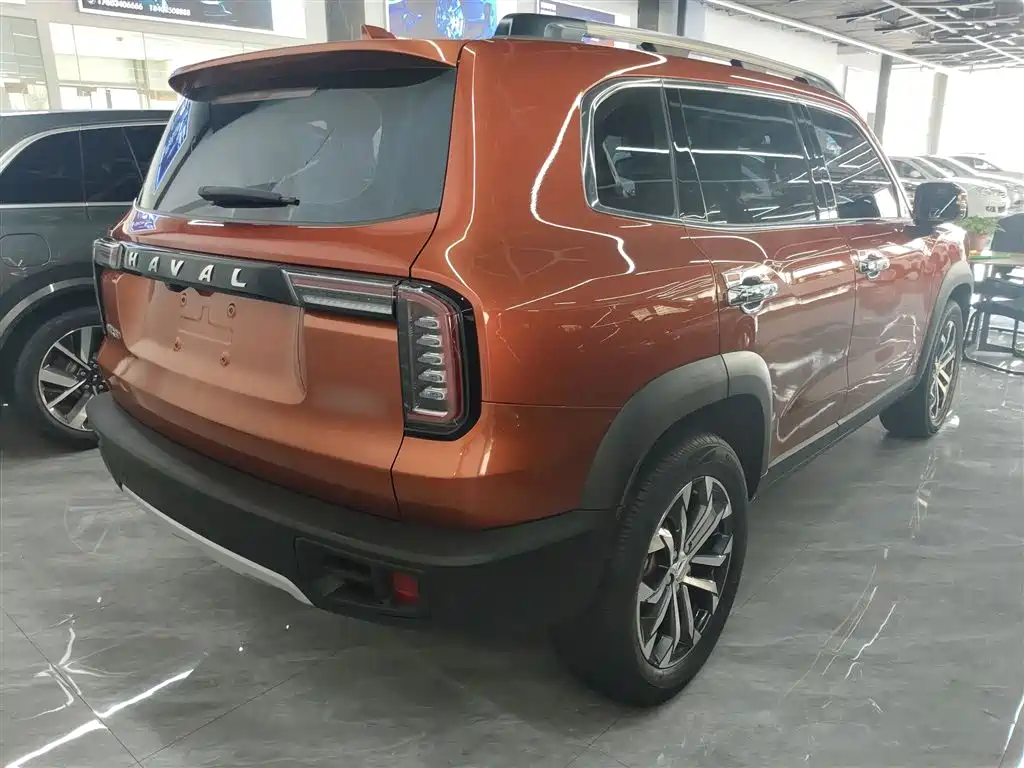 Haval Big Dog 2021 1.5T DCT 2WD Border Collie - Wangcai Edition фото 5