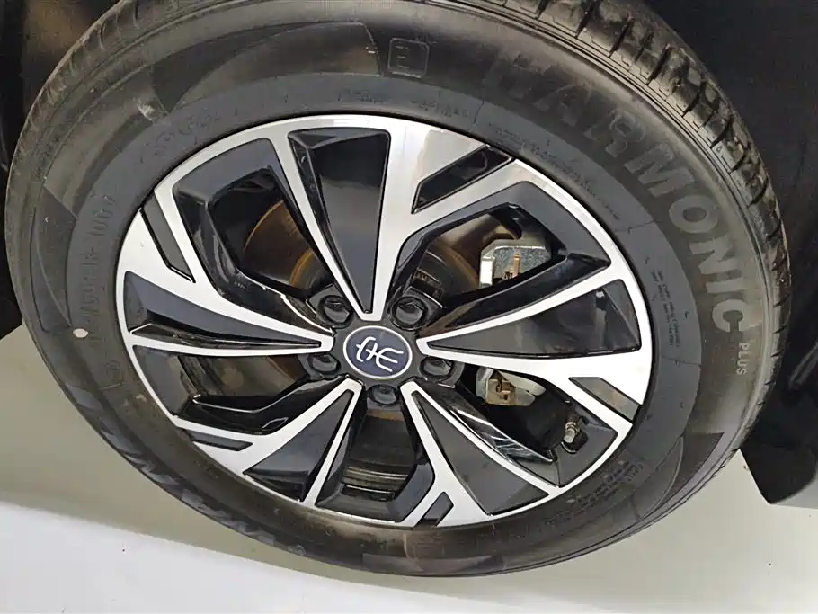 BYD Song Pro New Energy 2025 2nd Gen DM-i 75KM Leading Type фото 6