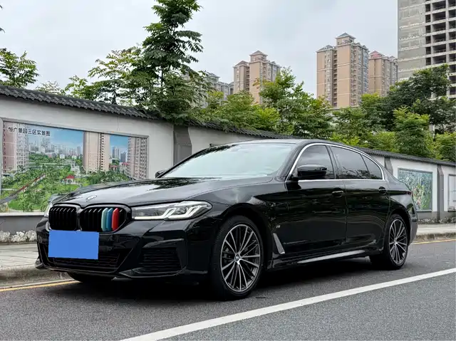 BMW 5 530Li, Лидер, M Спорт-пакет