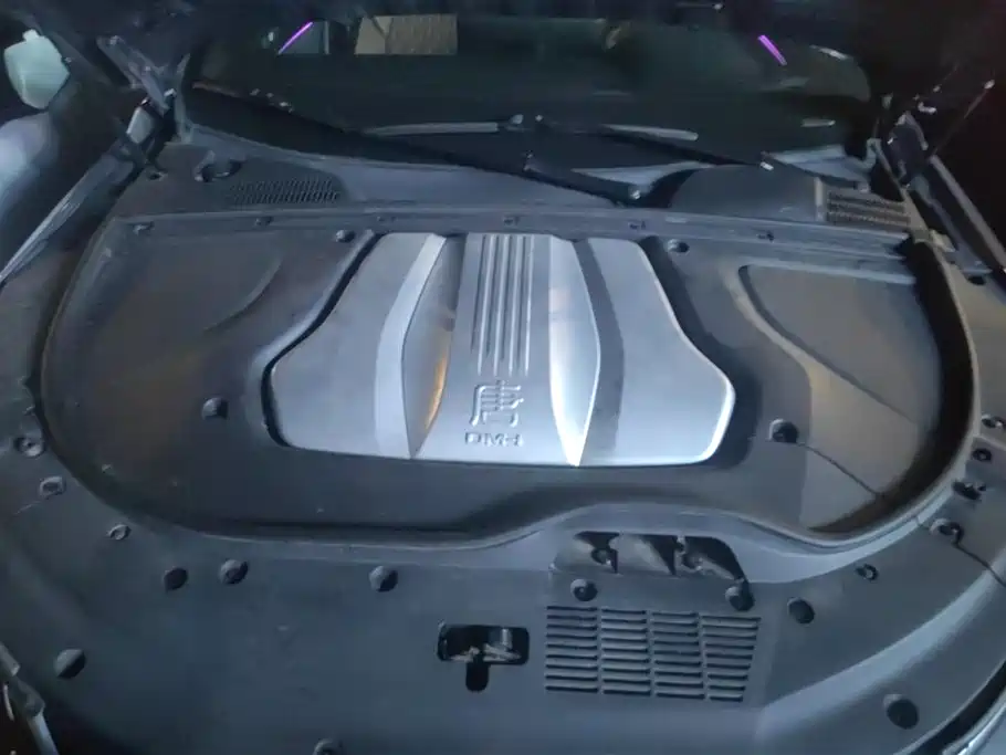 BYD Tang New Energy 2021 DM-i 112KM Honor фото 10