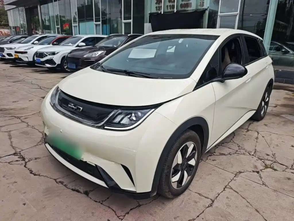 BYD Dolphin 2026 2025 420km Freedom Edition