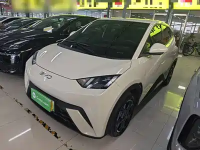 BYD Seagull