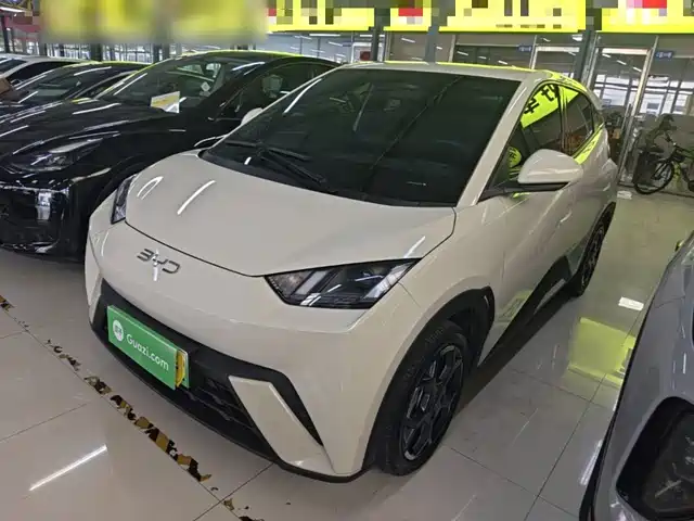 BYD Seagull 305km, Свобода