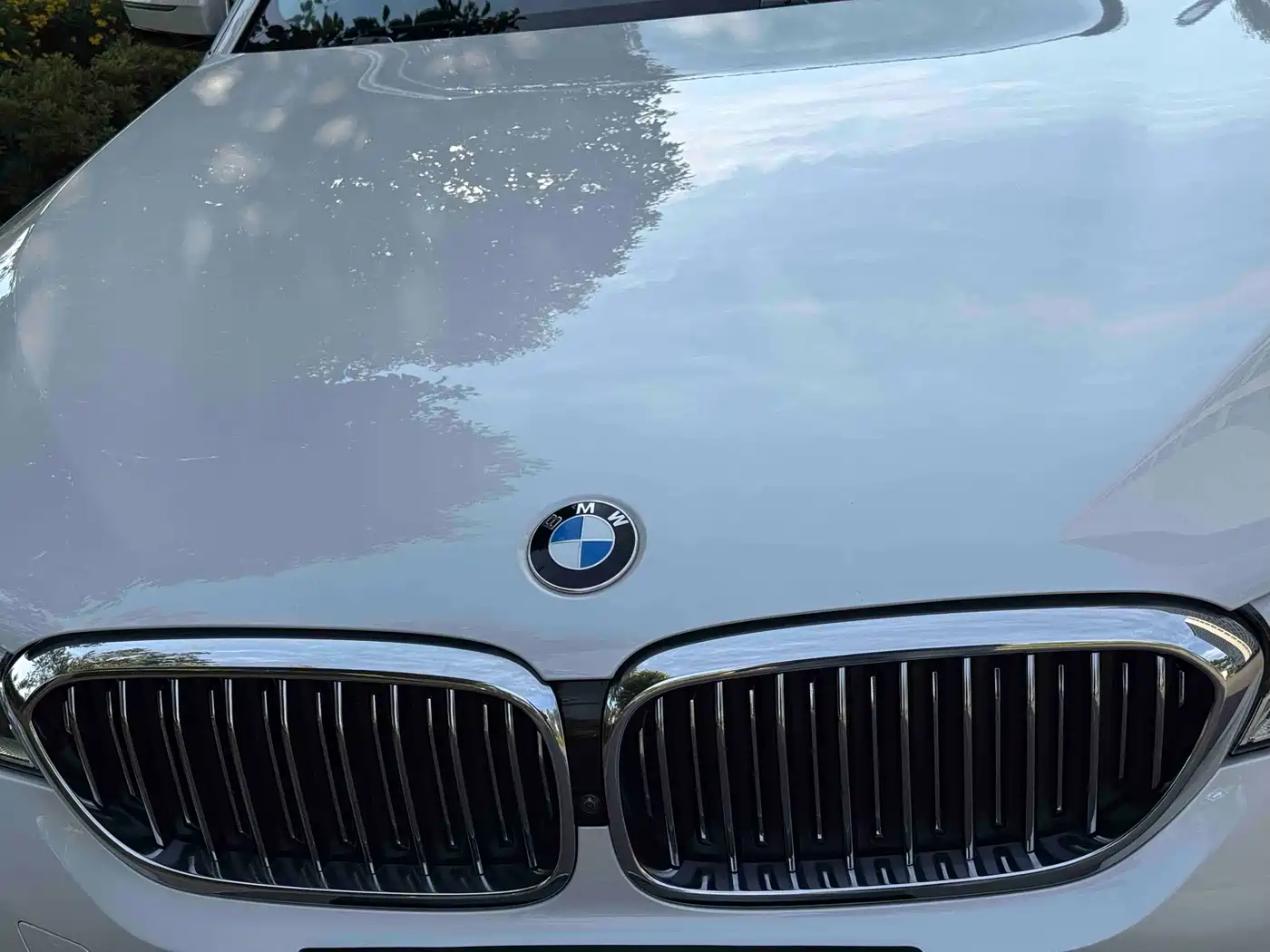 BMW 5 Series 2018 530Li Exclusive Luxury Package фото 6
