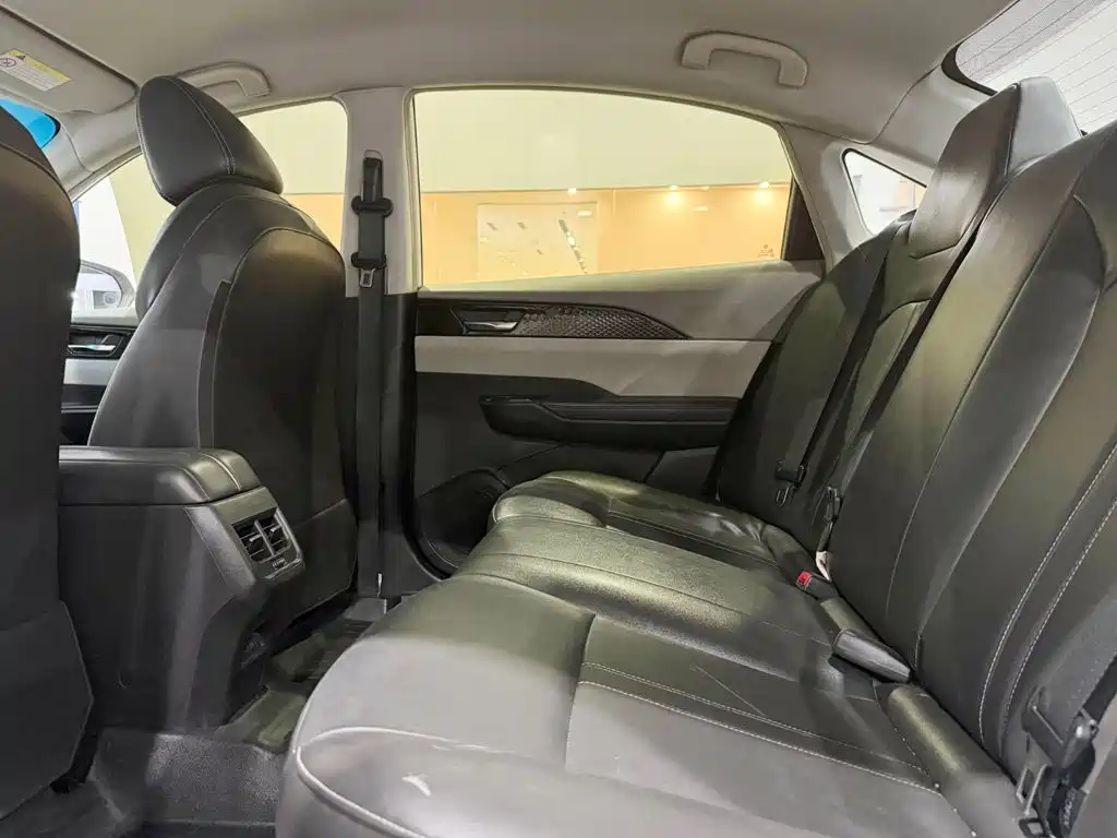 Фото 6 - Dongfeng Aeolus Dongfeng Fengshen E70