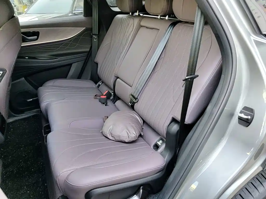 Chery Tiggo 9 2024 2025 2.0T Automatic 2WD Premium Edition 5-Seater