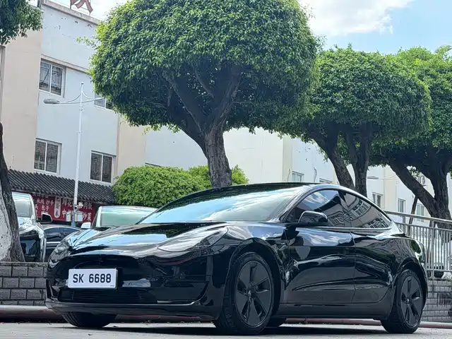 Tesla Model 3 Задний привод