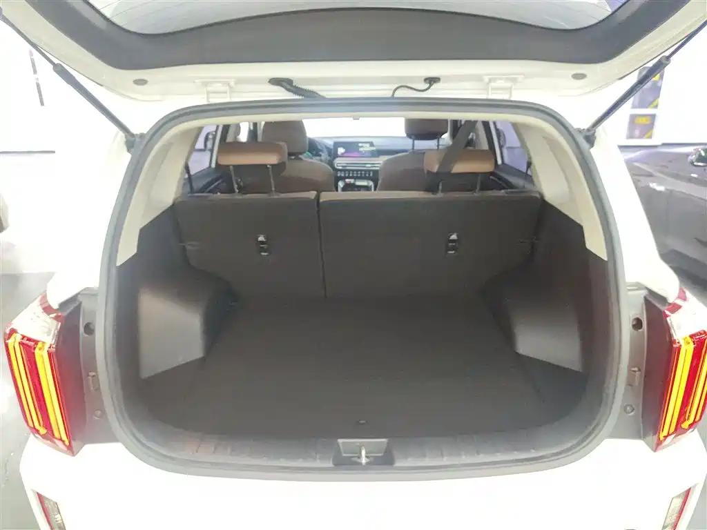 Kia Sportage 2021 Ace 2.0L Brilliant Edition фото 9