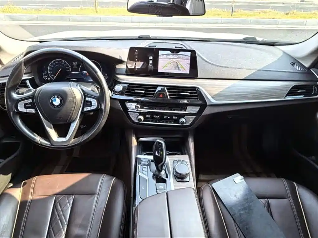 BMW 5 Series 2019 530Li Premium Luxury Package фото 3
