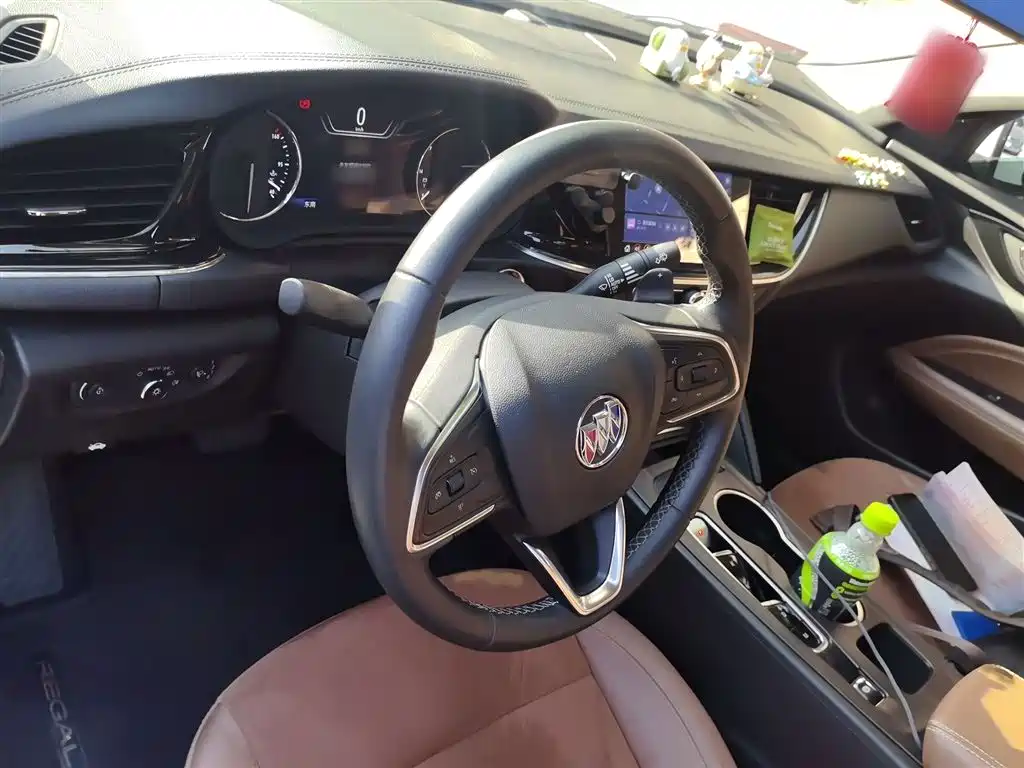 Buick Regal 2020 552T Luxury фото 13