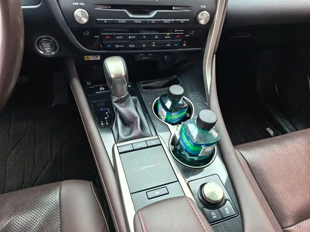 Lexus RX 2020 Facelift 300 AWD Elegance Edition фото 14