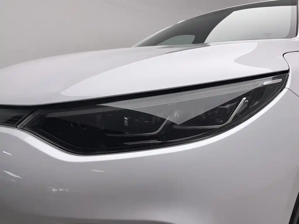 Denza X 2021 2020 Model PHEV Flagship Edition