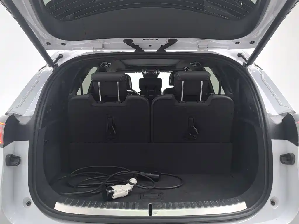 Denza X 2021 2020 Model PHEV Flagship Edition