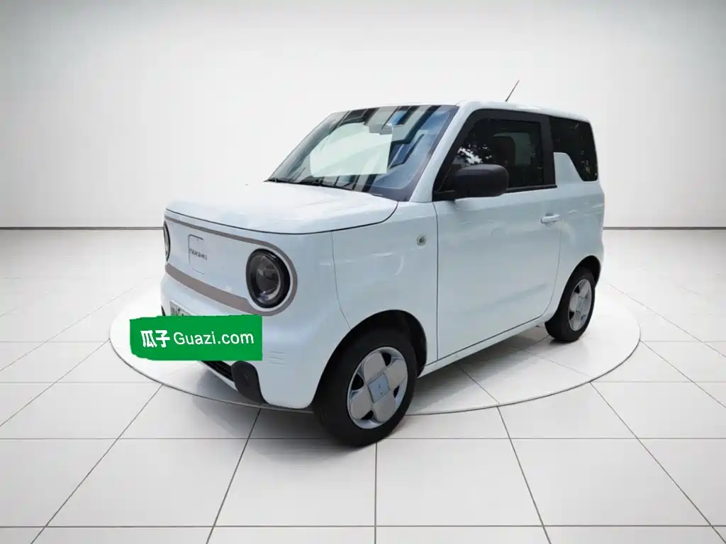 Geely Galaxy Panda 2023 2023 Panda Mini 200km Endurance Bear