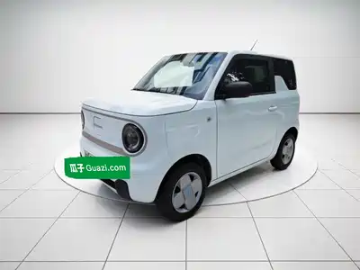 Geely Panda