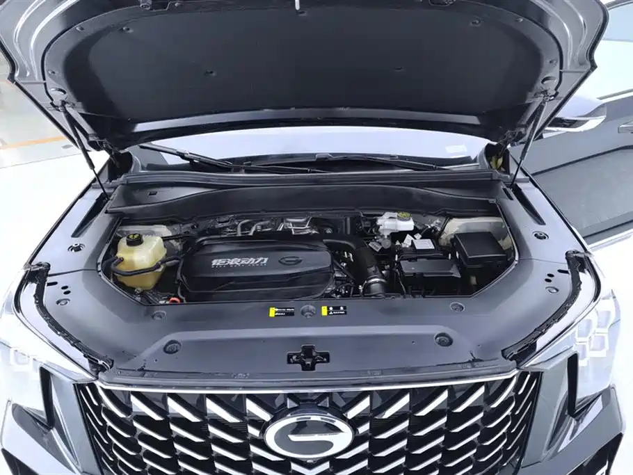 GAC Trumpchi Trumpchi GS8 2024 Navigator Series 2.0TGDI 2WD Luxury Smart Connect Edition фото 10