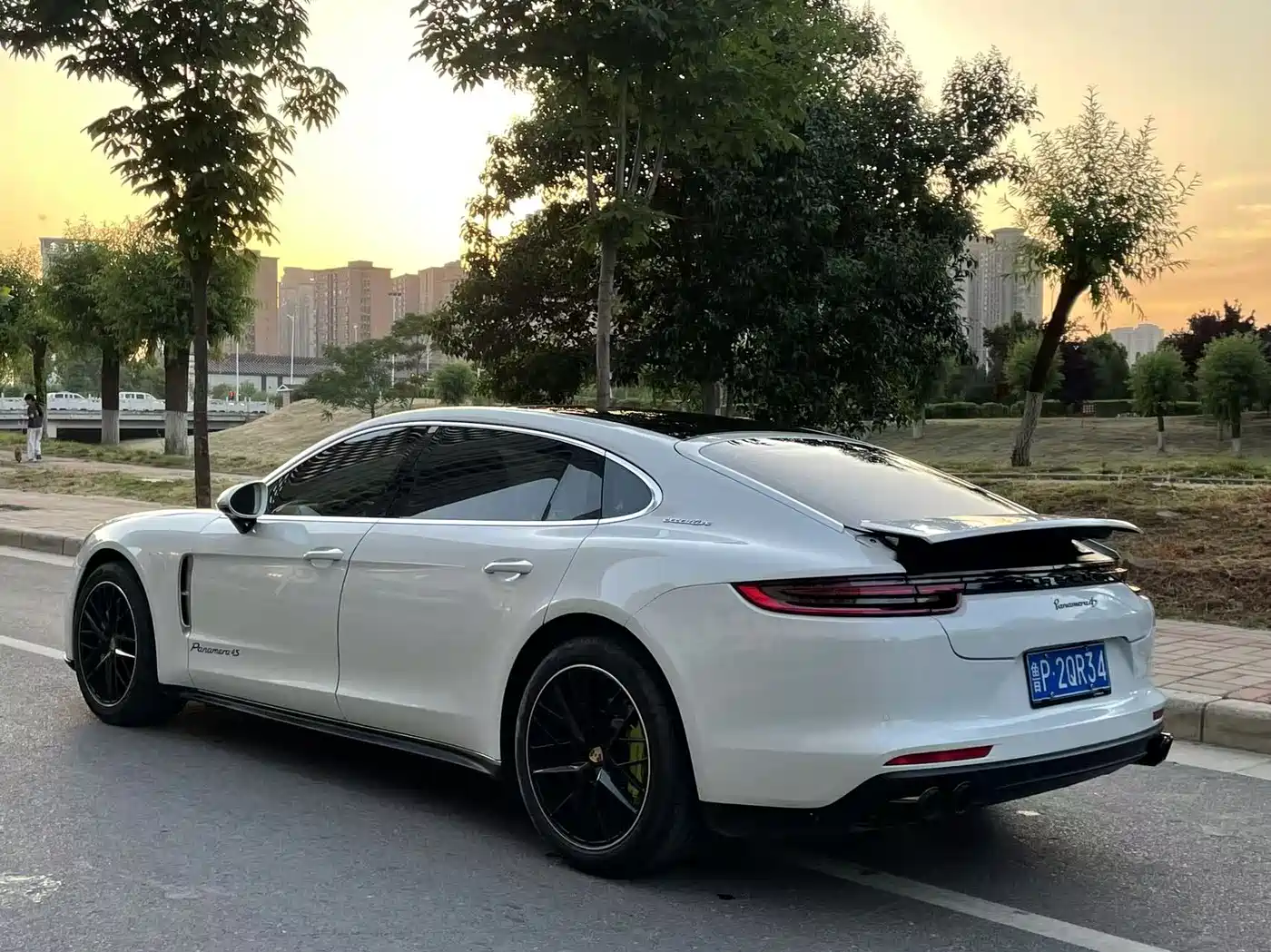 Porsche Panamera 2019 Panamera 4 Executive Long Wheelbase 2.9T фото 9