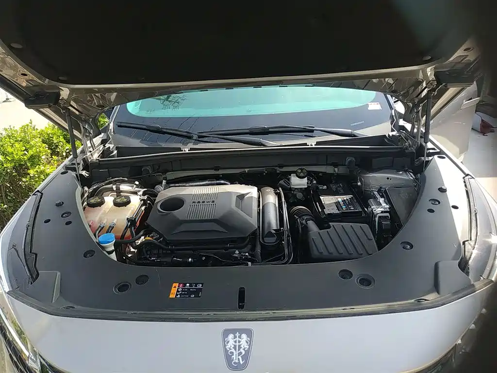 Фото 20 - Roewe RX5