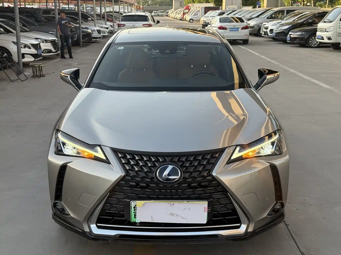 Lexus UX Electric 2020 300e Pure Yue Edition фото 3