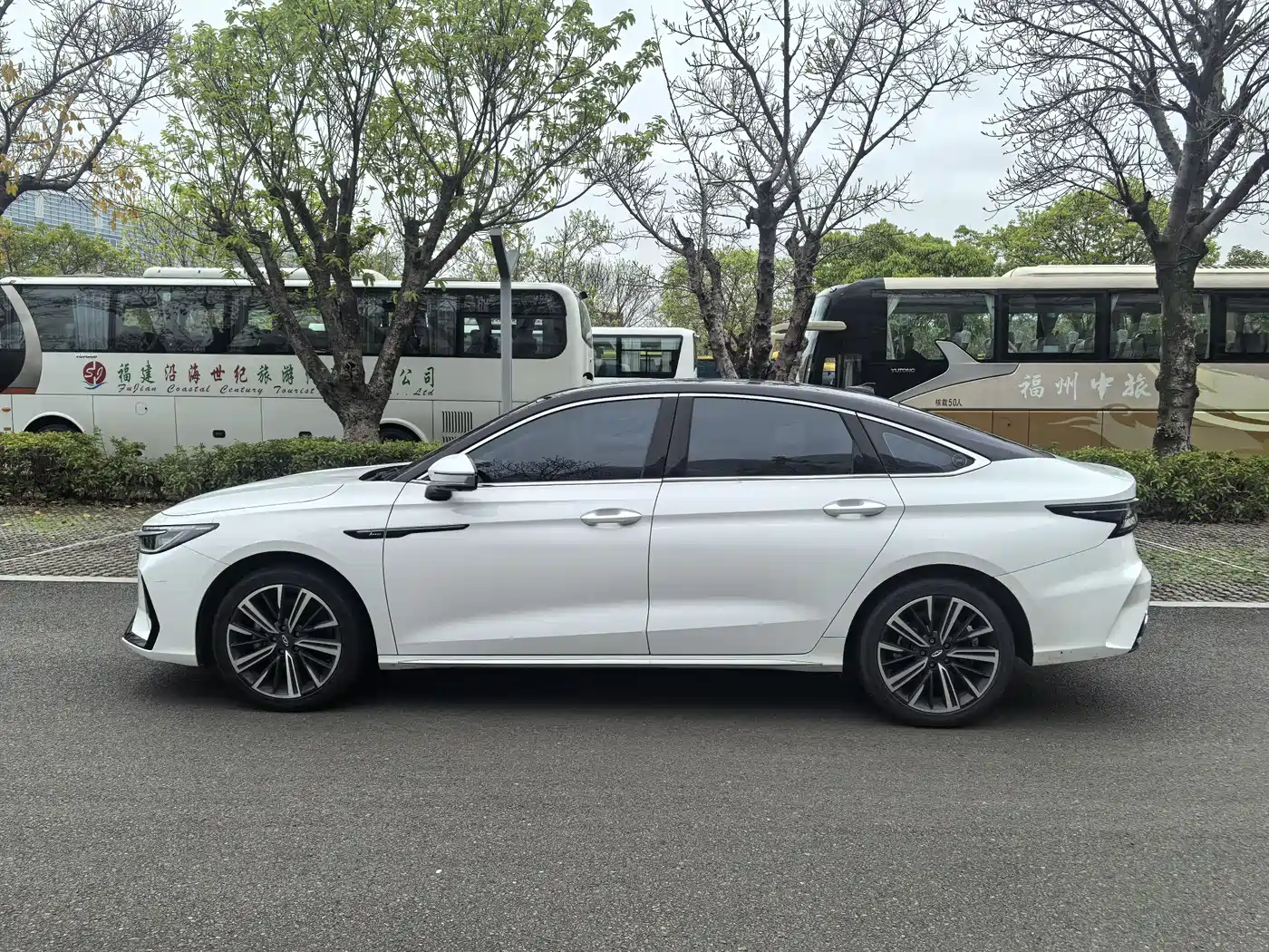 CHERY ARRIZO 8