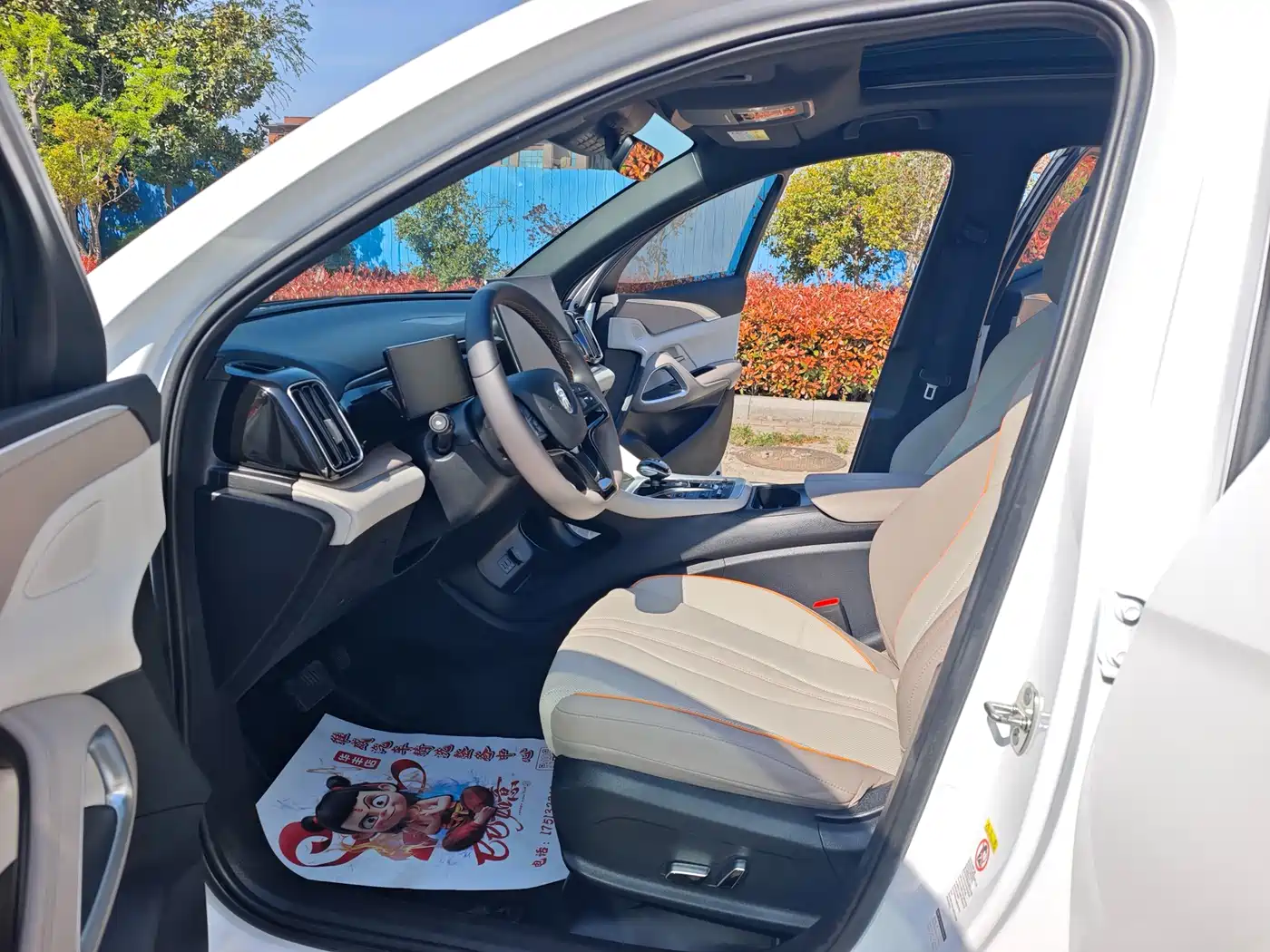 BYD SONGJIANG NEW ENERGY