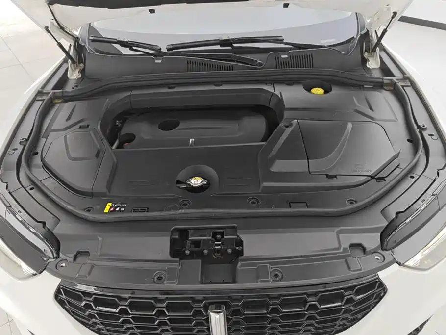WEY VV5 2019 2019 Upgrade 2.0T 2WD Flagship China V