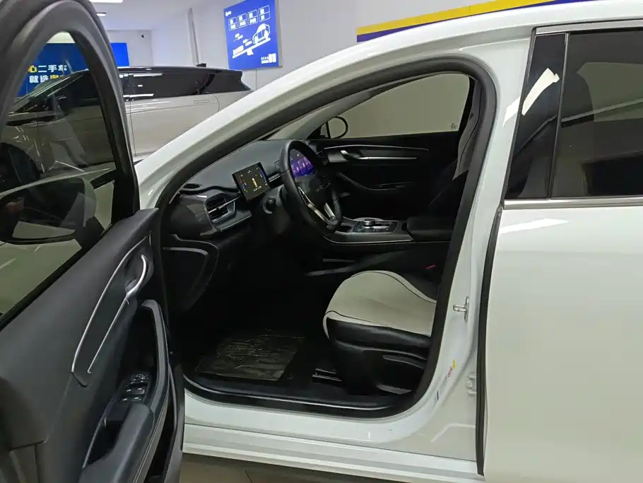 BYD Destroyer 05 2024 2023 Champion Edition DM-i 55KM Luxury