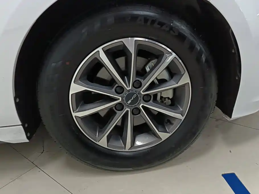 BYD Destroyer 05 2024 2023 Champion Edition DM-i 55KM Luxury