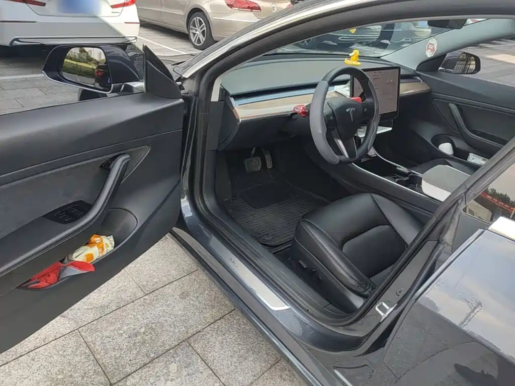 Tesla Model 3 2020 2020 Standard Range Rear-Wheel Drive Upgrade