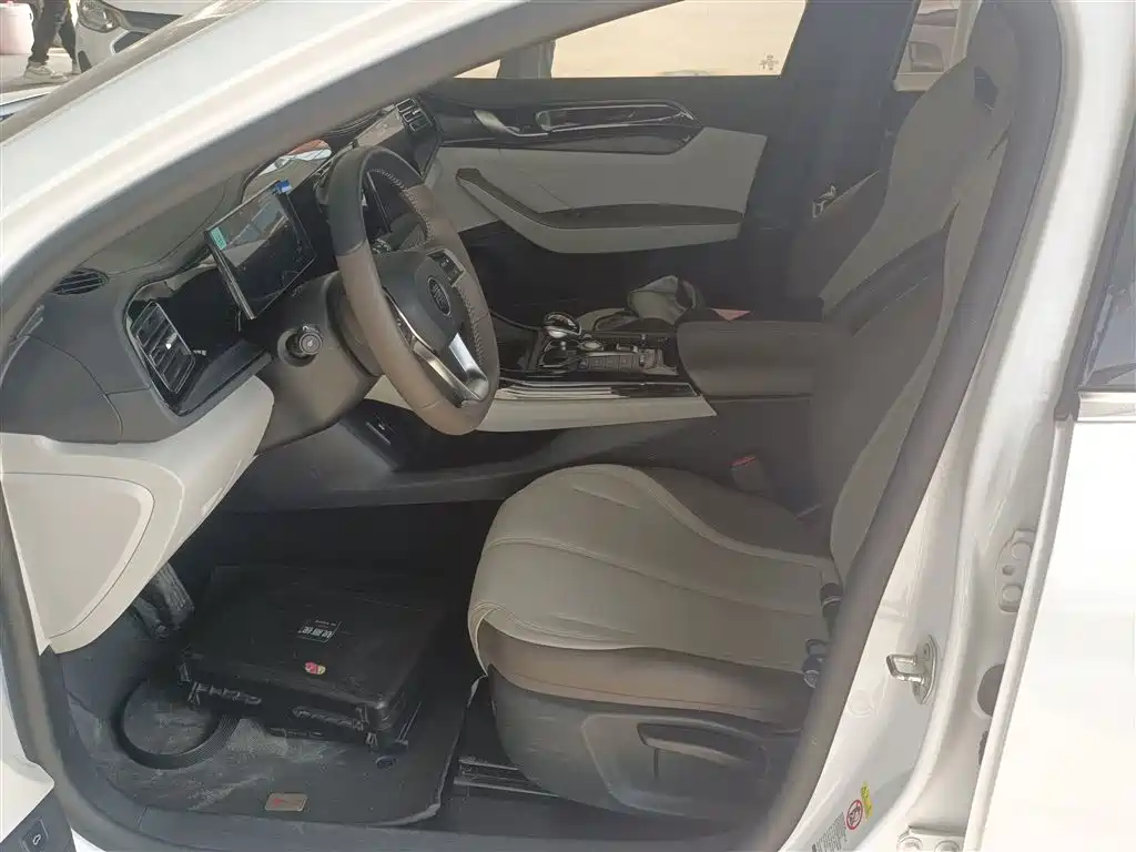 BYD Qin PLUS 2024 Glory Edition DM-i 55KM Leading фото 15
