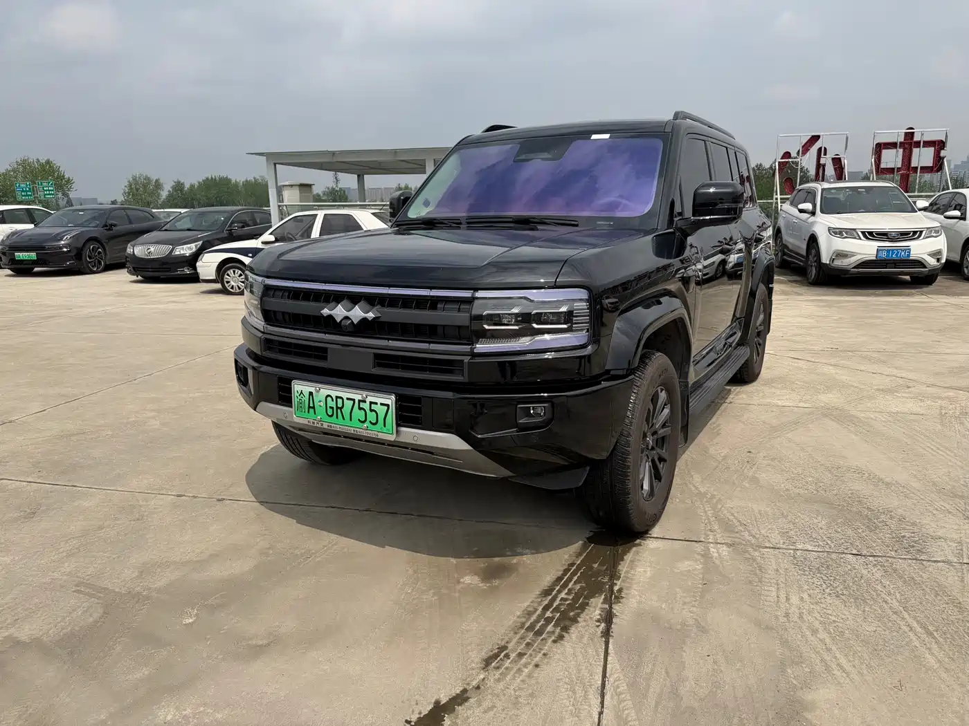 FANG CHENG BAO LEOPARD 5