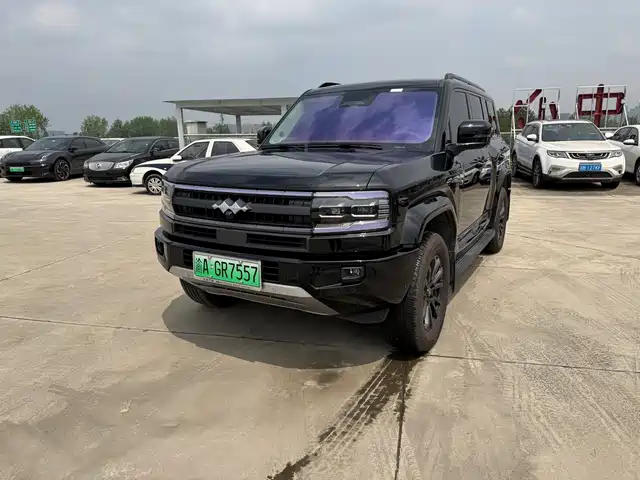 FANG CHENG BAO LEOPARD 5