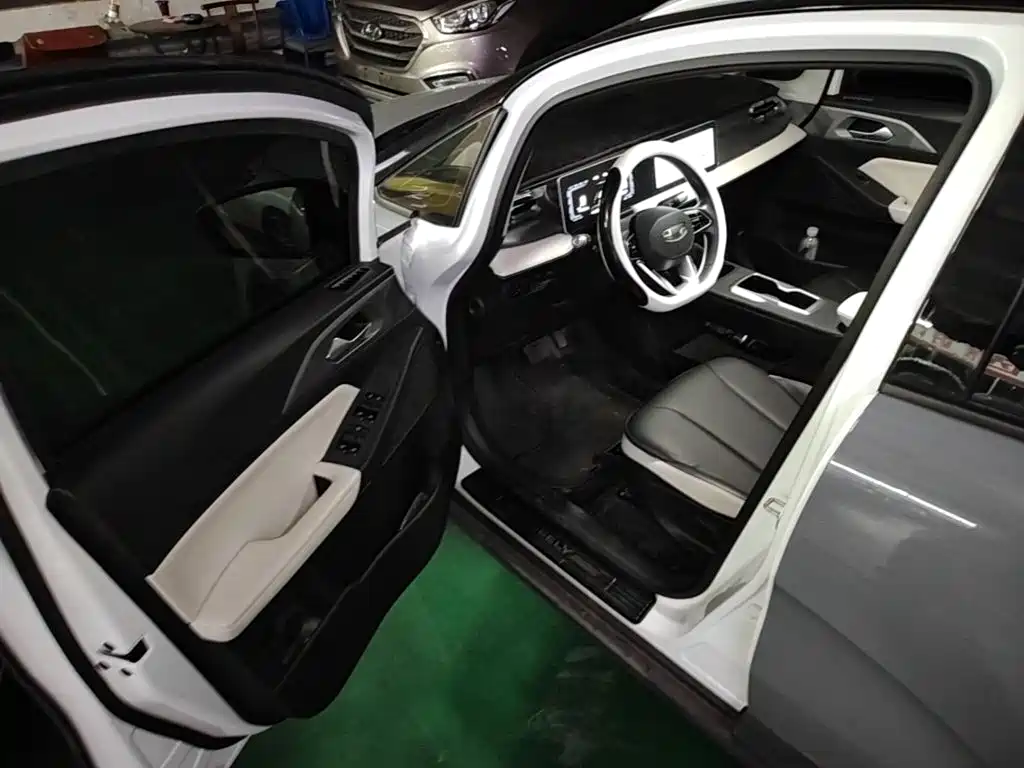 Geely Geometry E Firefly 2024 2024 Model 301km Starlight